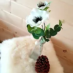 U Hani Шале