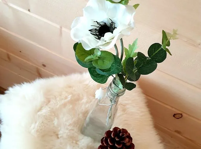 U Hani Horská chata